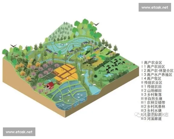 以生态系统视角探讨人类活动对自然环境平衡的影响与保护策略