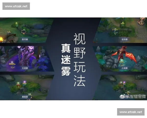 视野控制在游戏策略中的核心作用与实践探讨